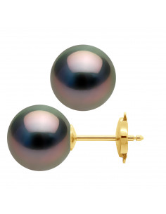 10 mm Orecchini e perle di oro tahitico rotonde - Kendari