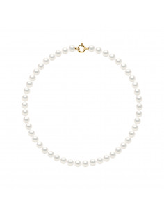 Collier Raz du Cou 40 cm en Or et Perles de Culture 8 mm - 6 Coloris - ANTONIA